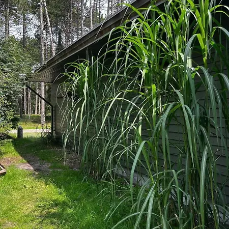 Peaceful Close To At Reerso * Store Fuglede