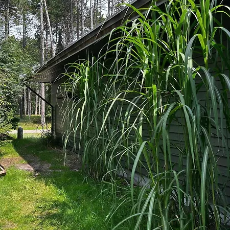 Peaceful Close To At Reerso Ferienhaus